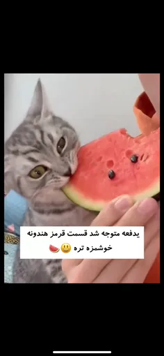 واییی برای یلحظه چشاش برق زد😭😭😂😂😂