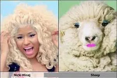 کدومش گوسفنده؟؟