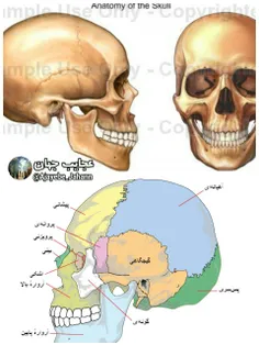 30MA: