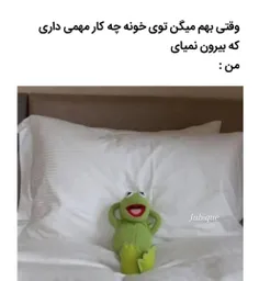 من خوابیدن رو به دیدن خیلی از فامیلا ترجیه میدم 😐🙏