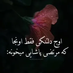 اوج دلتنگی فقط اونجا که مرتضی پاشایی میخونه.....