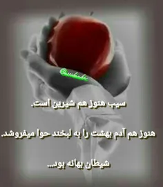 عکس نوشته amiralinasari84 13761736