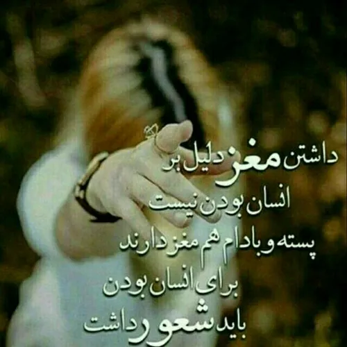 داشتن مغز