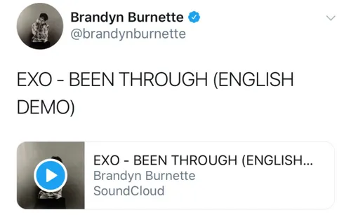 Brandyn Burnette Twitter Update with Exo🌸