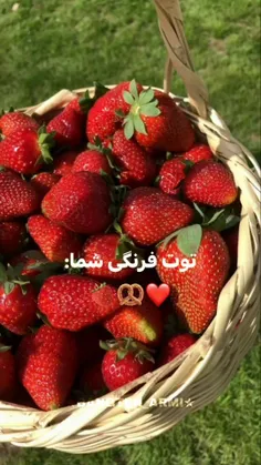 قربونش برم من 🥺❤️