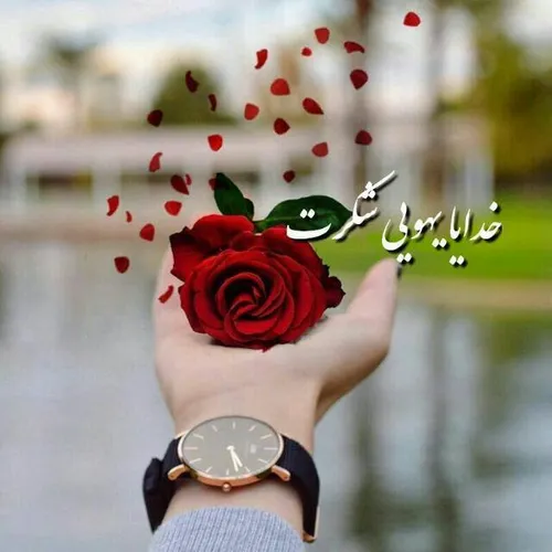 خدایااااا شکرت😍 😍 😍 😍 😍 😍 ❤