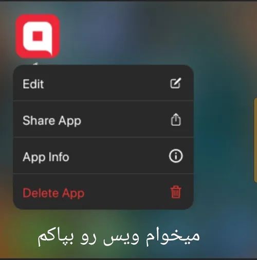 میخوام از ویس برم همه مجبورم میکنین برم