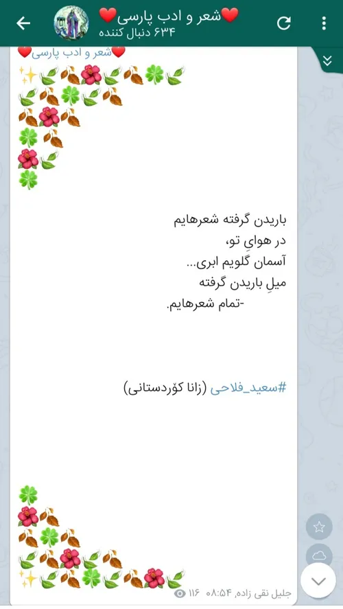 سعید فلاحی