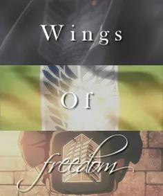 #wings_of_freedom #SNK