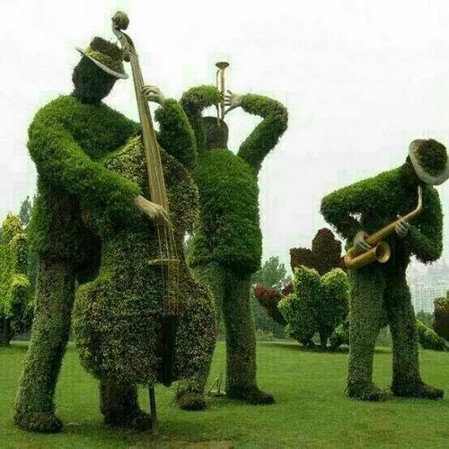 اینم گروه موسیقی درختی
