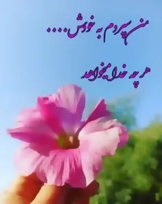 هرچه خدا میخواهد