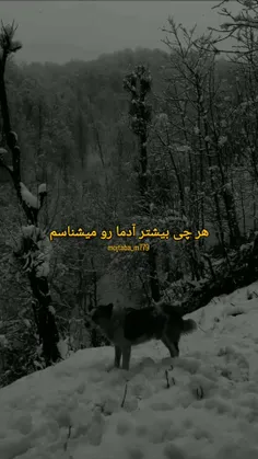 #استوری_جدید