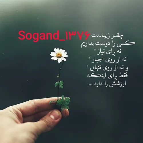  sogandam_76_13 50021687 - عکس ویسگون