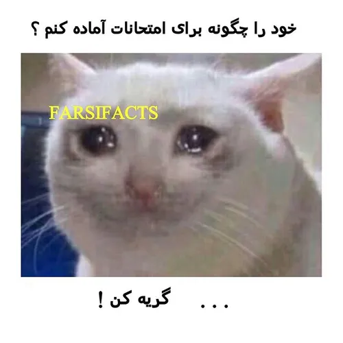 امتحانا ادمین بیچاره