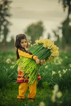 تقدیم به همه دوستان مجازی...