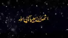 #آغاز_وپایان_ما_شد#اشهد_ان_علیاً_ولی الله