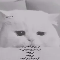 به غمگین ترین حالت ممکن شادم...