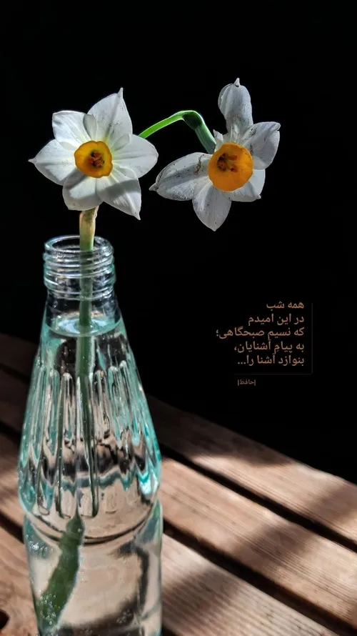 🍃همه شب در این امیدم