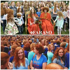هر ساله هزاران زن و مرد مو#قرمز در شهرکی از هلند به نام "