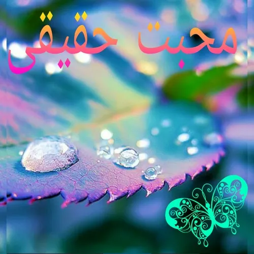 محبوب همین جاست