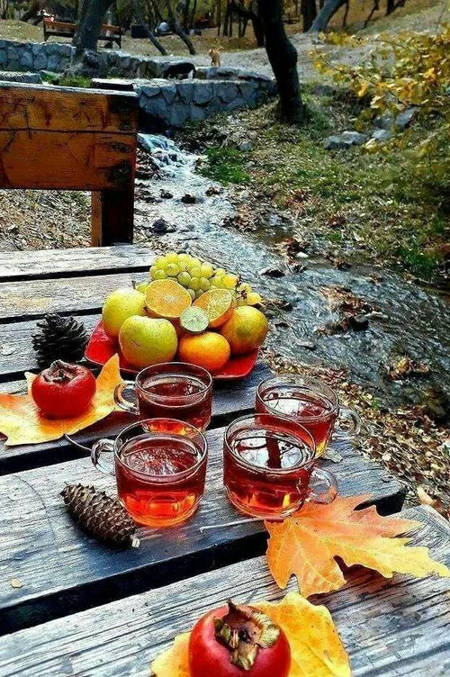 ☕️زندگی
