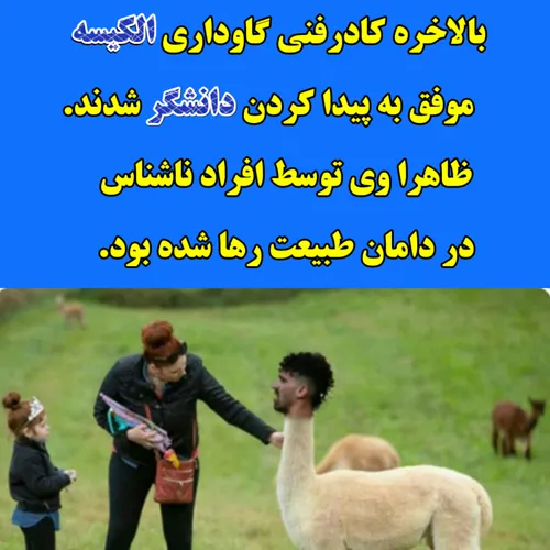 کیسه پاره