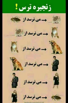 من کاملا توجیح شدم