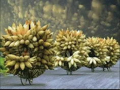 تصویری از کشاورزان اهل ویتنام که محصولات خود را به صورت ع