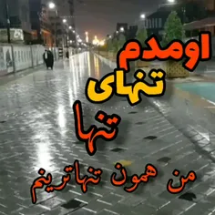 کسی چه می‌داند، 