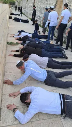 مثل اینکه اوضاع خیلی قمر در عقربه!