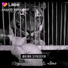 قدیمی ولی باحال😃😅😂