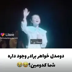 همتون دومین 