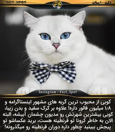 #بخون