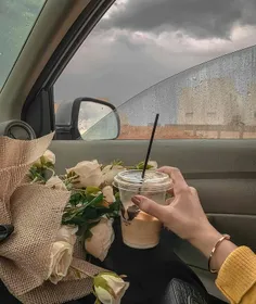 ‏زن به گیاه‌ش که برگ نمی‌داده و هر روز خشک‌تر می‌شده، قطر