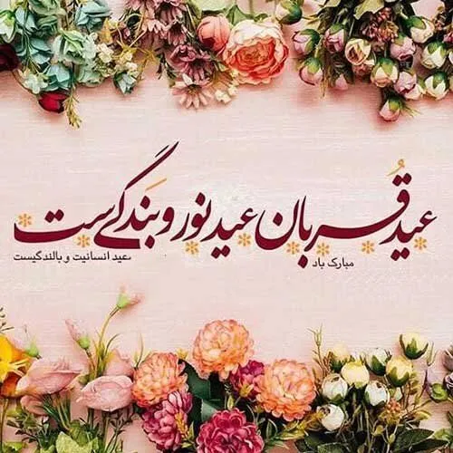 بر پیکر عالم وجود جان آمد