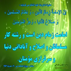 #حضرت_امام_رضا_ع می فرمایند :