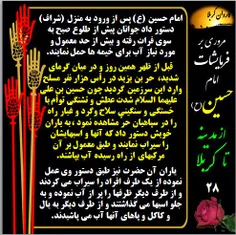 #امام_حسین#کربلا#نینوا#عاشورا#محرم#فرمایشات_امام_حسین#ابا