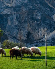 #غار اسپهبدان، دیلمان