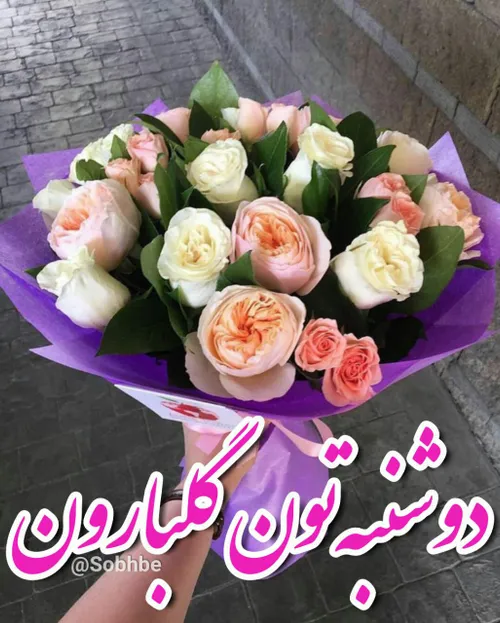 دوشنبه تون🌷