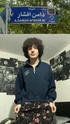 narges_afshartik 77459131