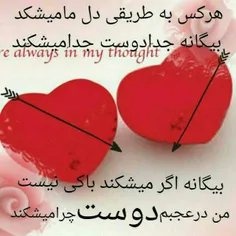 عکس نوشته sanigolzar1 14339321