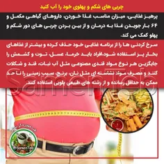 ✅ چربی های شکم و پهلوی خود را آب کنید