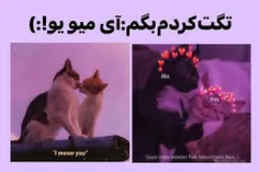 *منی که سینگلم