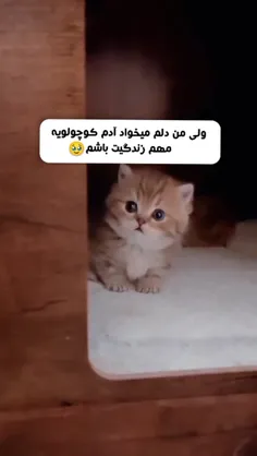 چه خوشگله 😍😍