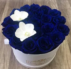 #flower #rose #blue