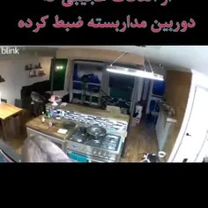 اسکل بلا کی بوده شاسگول پیشی کس بوده 😂😂😂