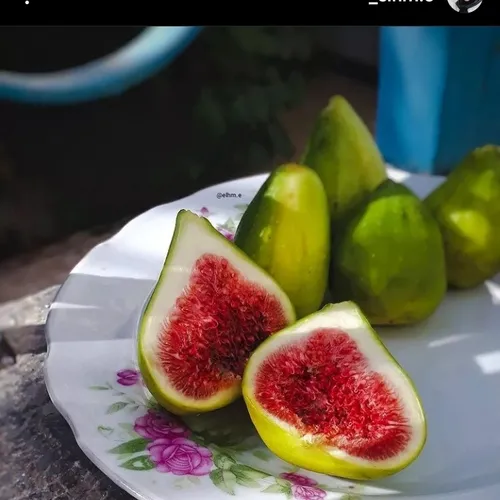 بعضی ها؛شبیه یک انجیرِ رسیده می مانند،