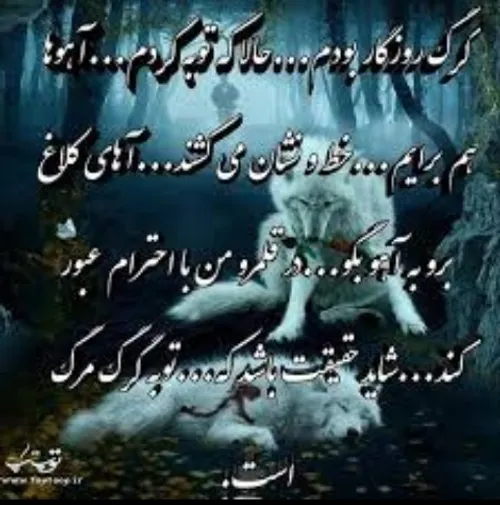 عکس نوشته