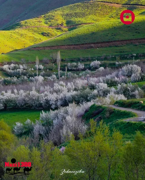 ⁣ مریوان کردستان