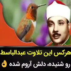 فرازی از سوره مبارکه الرحمن